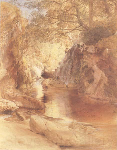 Samuel Palmer A Cascade in Shadow,Drawn on the Spot,near the Function of the Machno and Conway,North Wales France oil painting art
